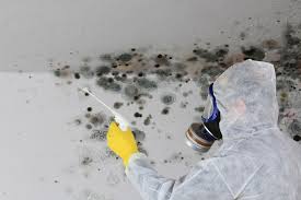 Best Commercial Mold Inspection  in Lynchburg, OH